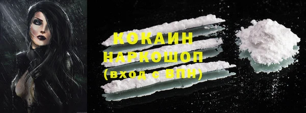 СК Инта