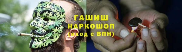 СК Инта