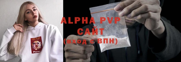 СК Инта