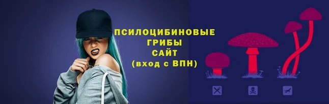 гидропоника Инсар