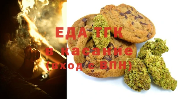 СК Инта