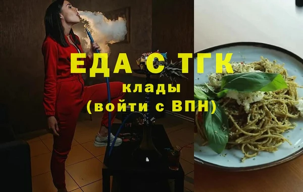 СК Инта
