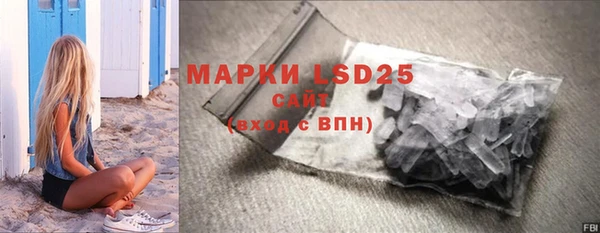 ПСИЛОЦИБИНОВЫЕ ГРИБЫ Каменногорск