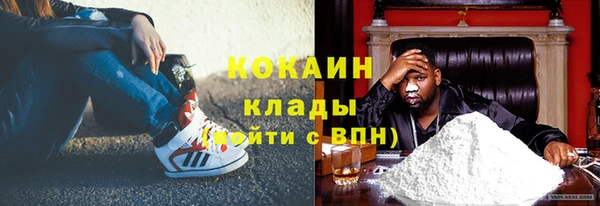СК Инта