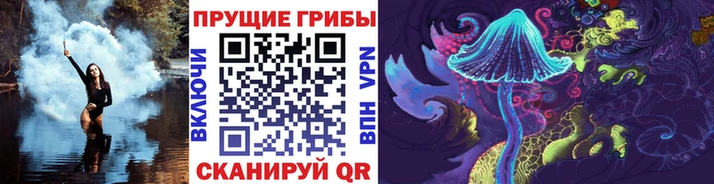 Галлюциногенные грибы Cubensis  Купить  Железноводск 